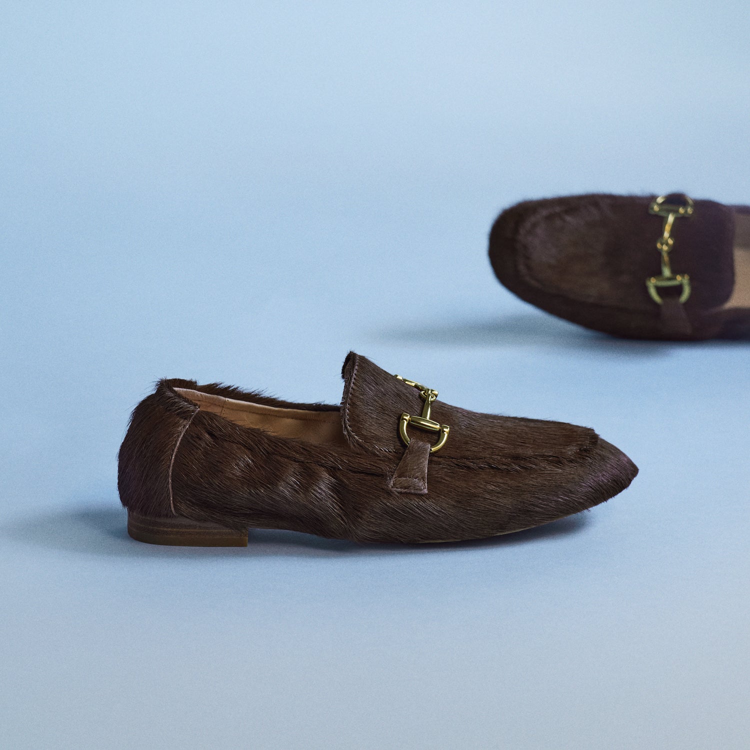 Brown loafers with gold accents on a light blue background